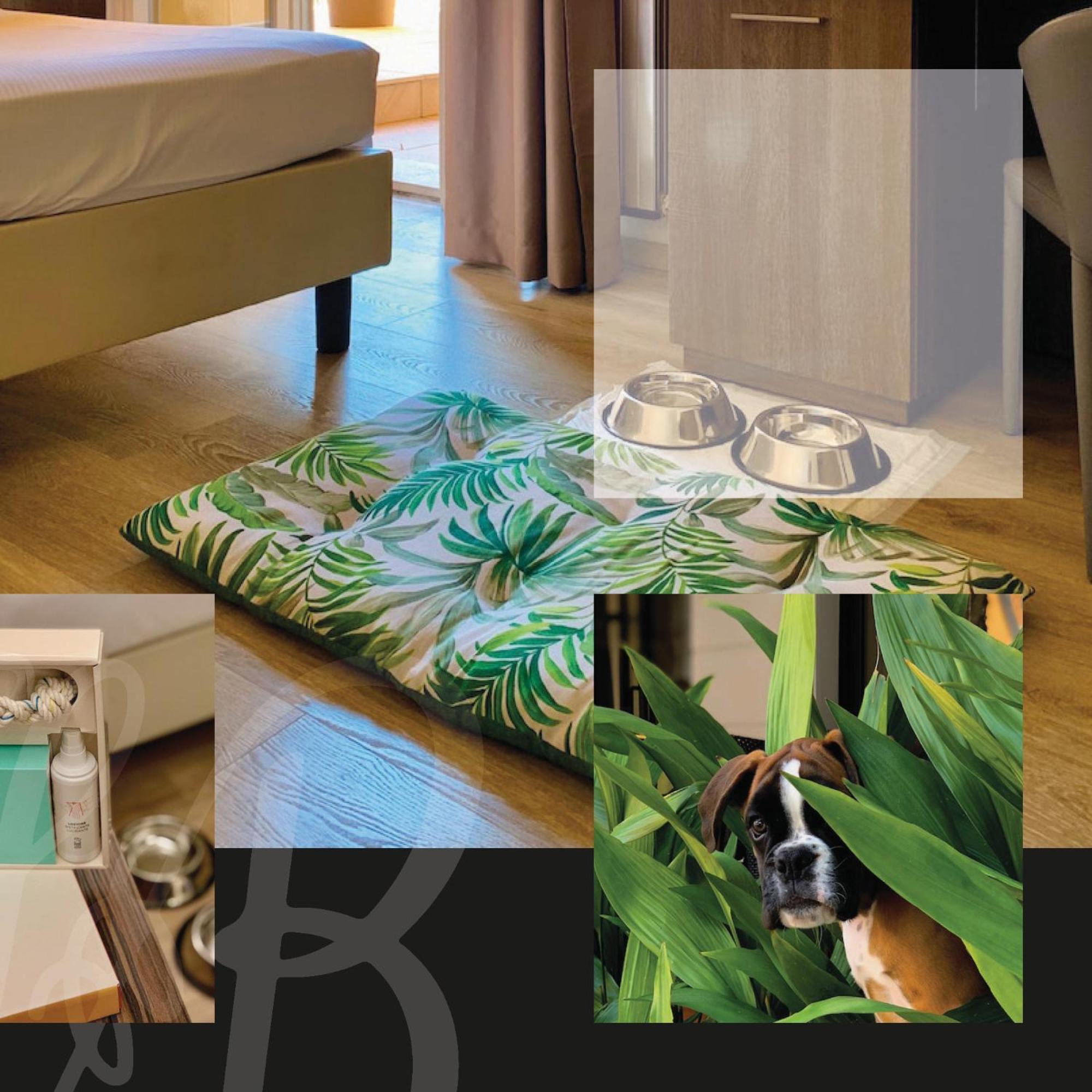 Hotel Brescia Boario Terme